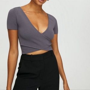 Aritzia Deep V-Neck Gray Crop Top